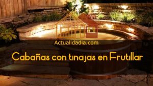 Cabañas con tinajas en Frutillar