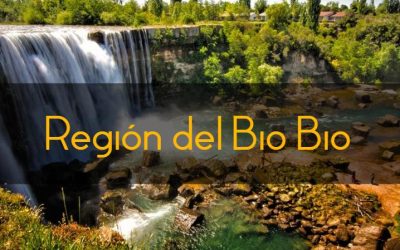 region del bio bio